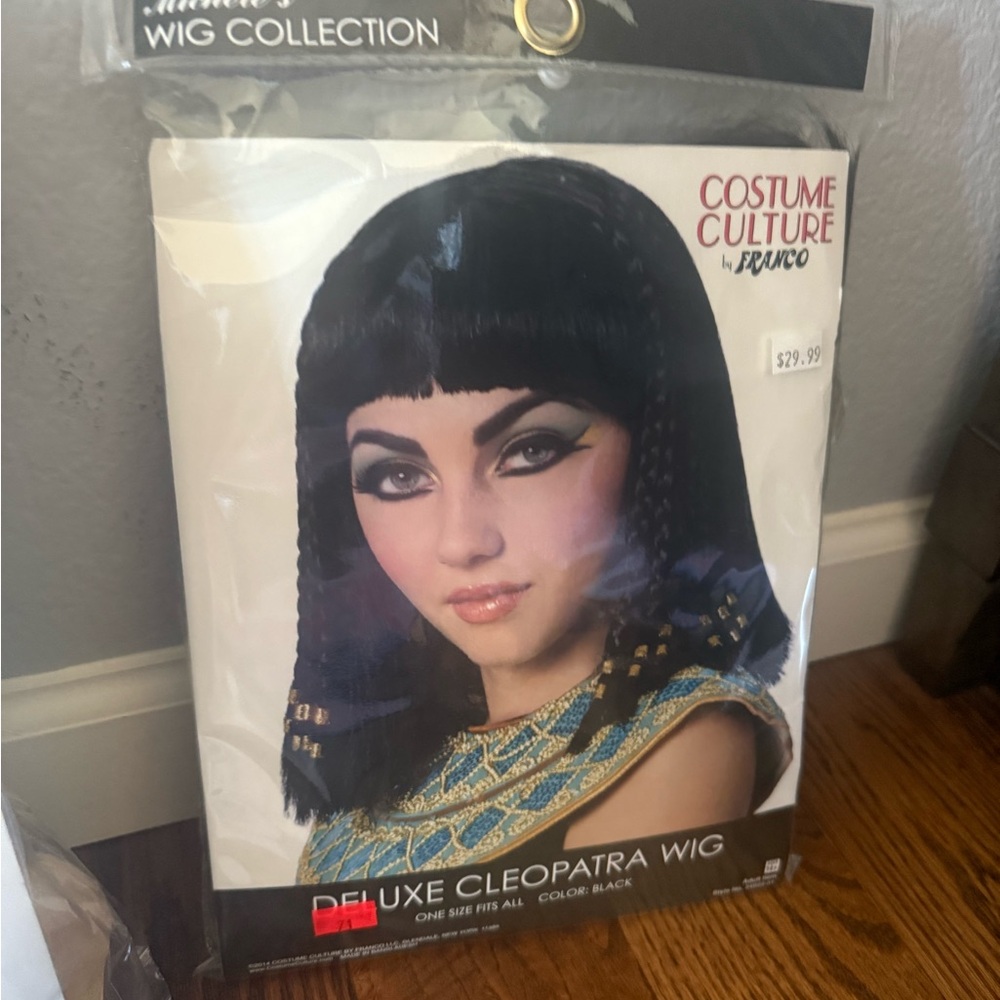 Couples Costumes - Picture 4 of 7